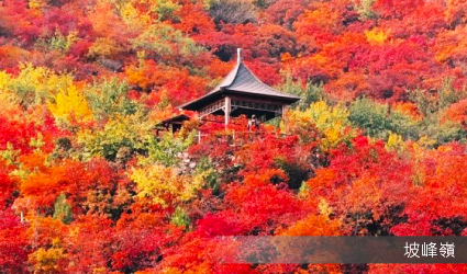 坡峰嶺